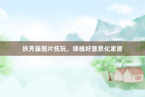 扶芳藤图片抚玩，绿植好意思化家居